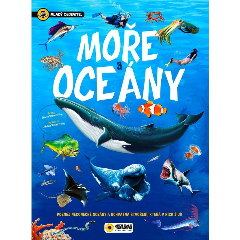 Moře a oceány