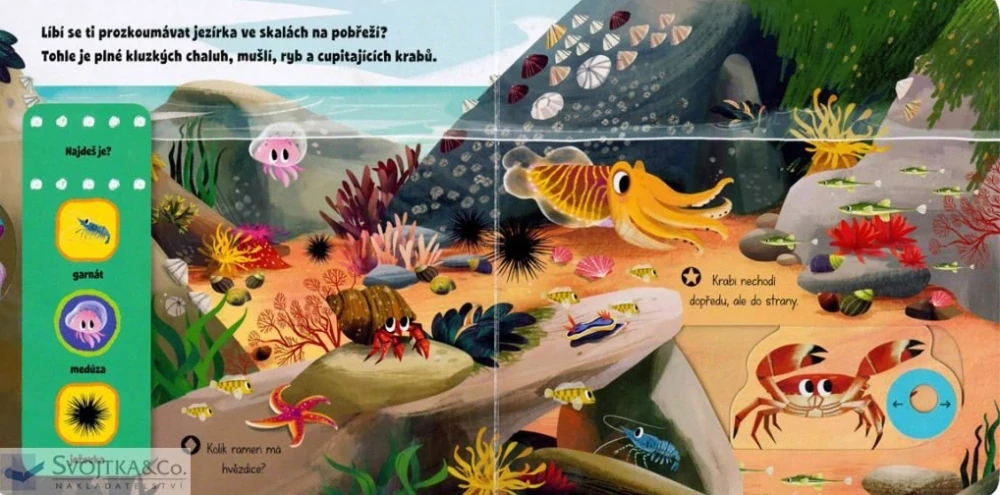 První objevy - Pod mořskou hladinou