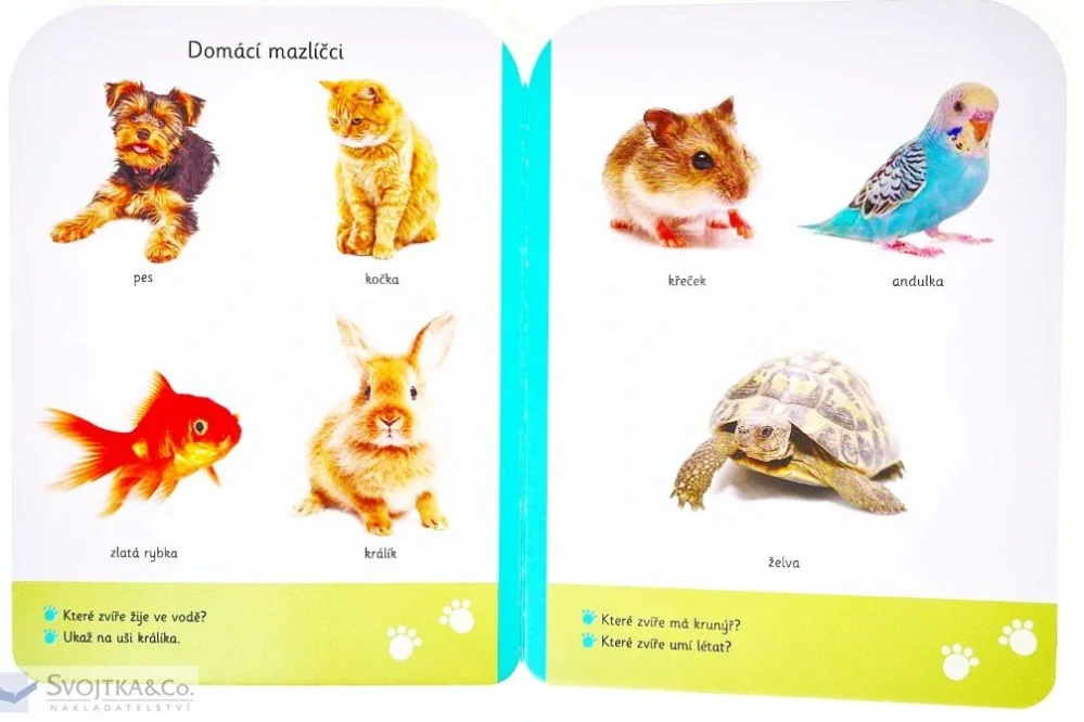 Malé kroky - Zvířata 18+ měsíců