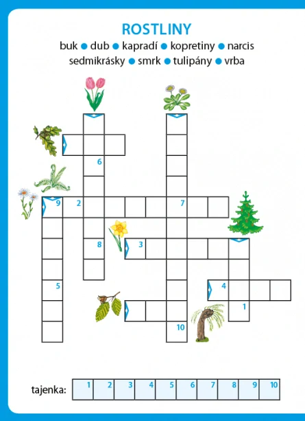 Senzační křížovky pro děti - modrý sešit