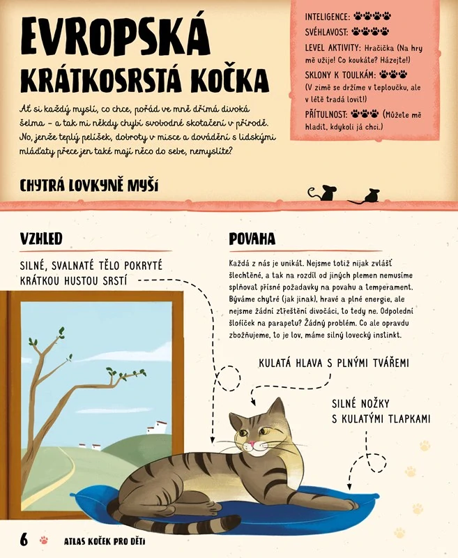 Atlas koček pro děti