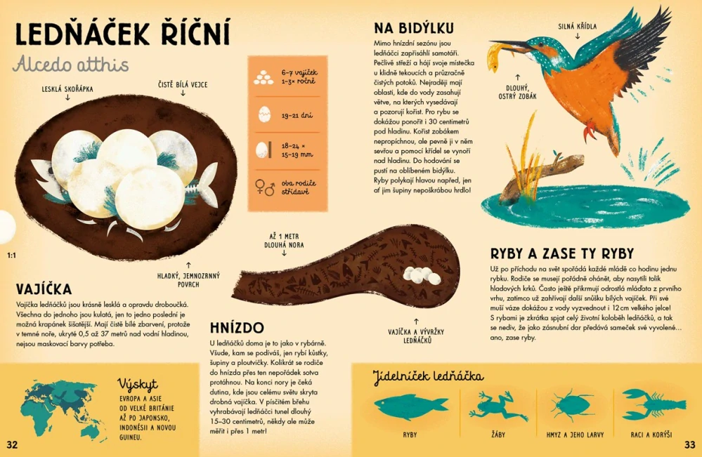 Všechno o vejci