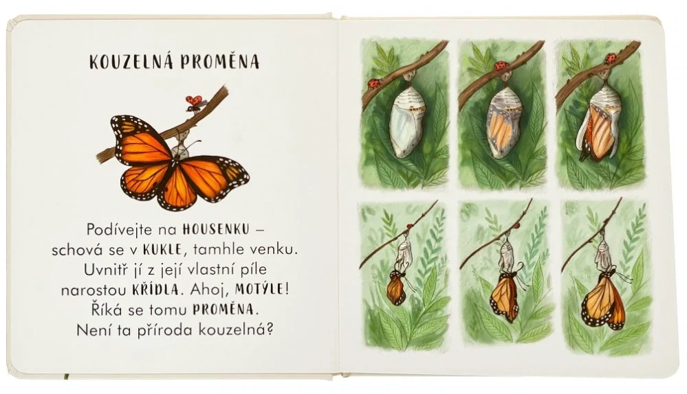 Zpomal... na tvém prahu 