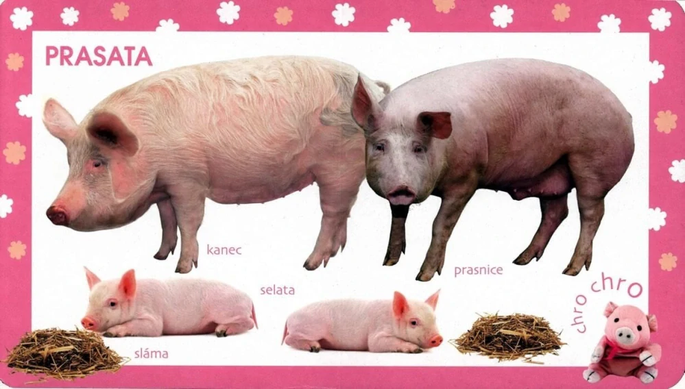 Děti poznávají - Statek