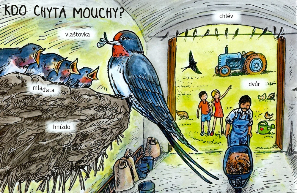 Čím jsou užitečná - Zvířátka na vsi