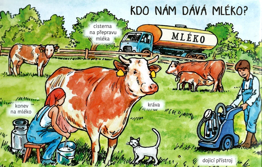 Čím jsou užitečná - Zvířátka na farmě