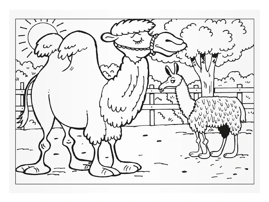 MFP Omalovánky - Návštěva v ZOO