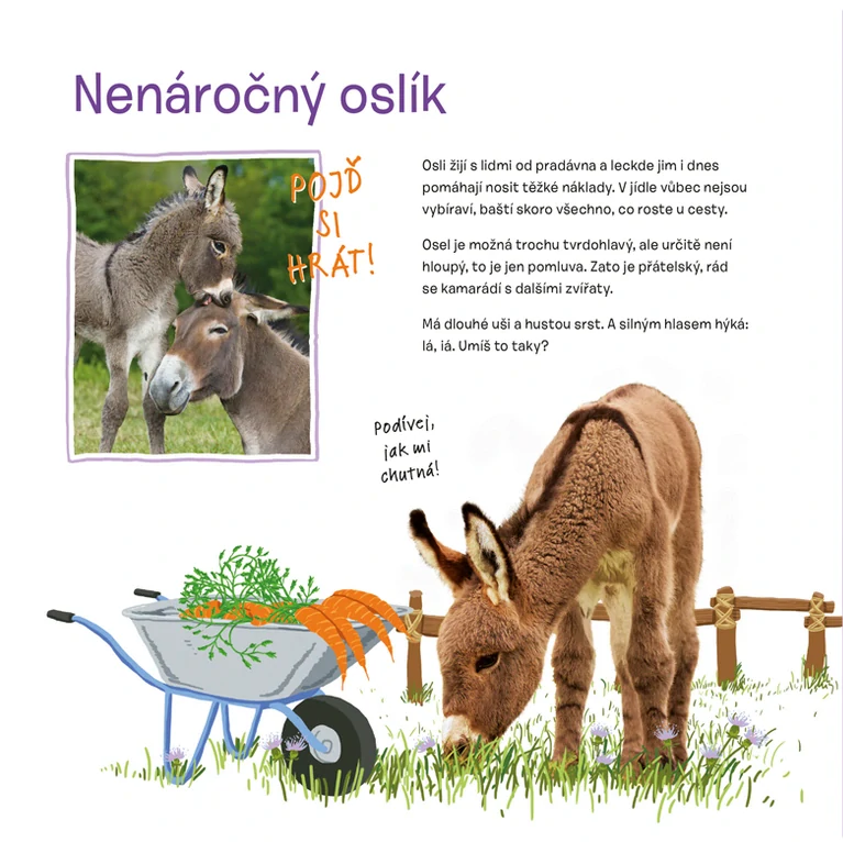 Osahej si kabátek oblíbených zvířátek - Na statku