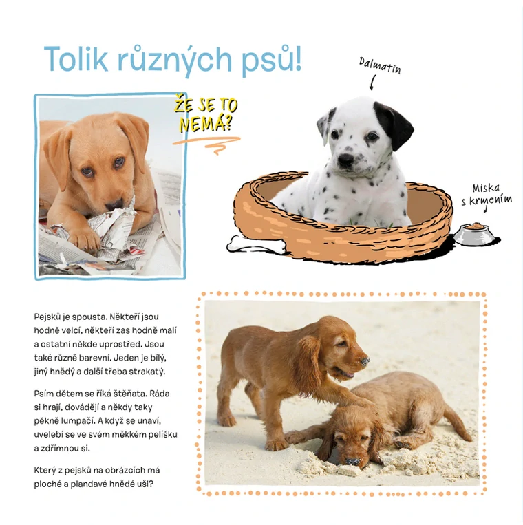 Osahej si kabátek oblíbených zvířátek - Mazlíčci