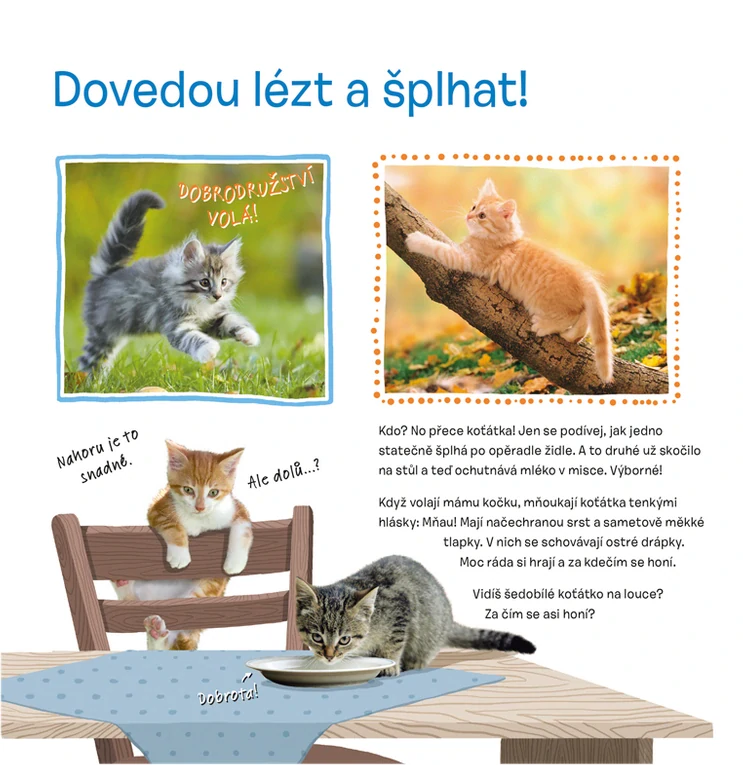Osahej si kabátek oblíbených zvířátek - Mláďátka