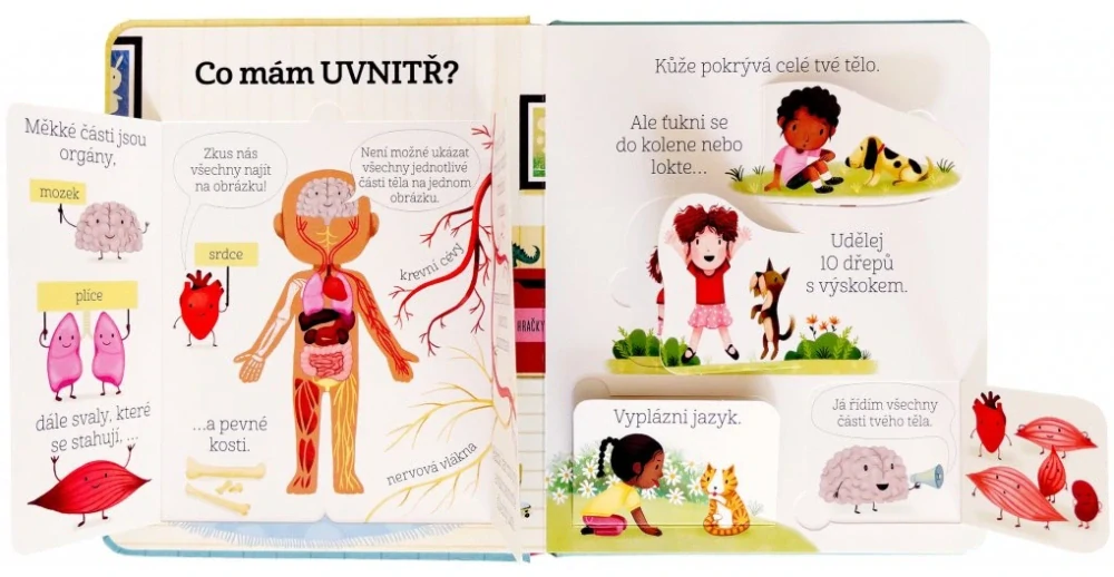 Kuk pod okénko - Co se děje v mém těle? 