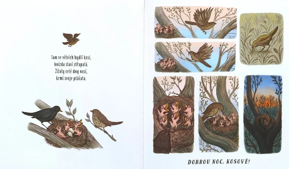  Zpomal a ... dobrou noc