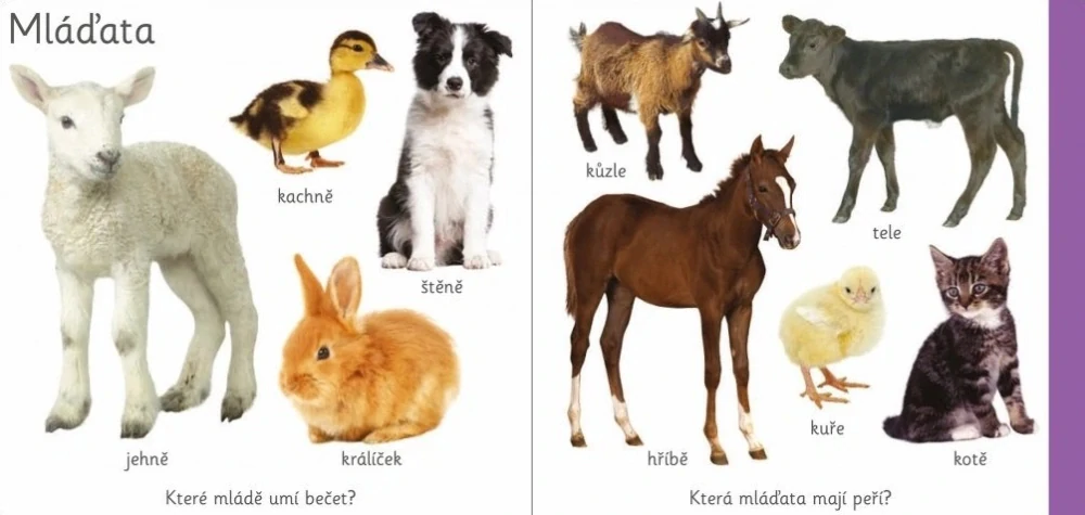 Moje malá knížka - Farma