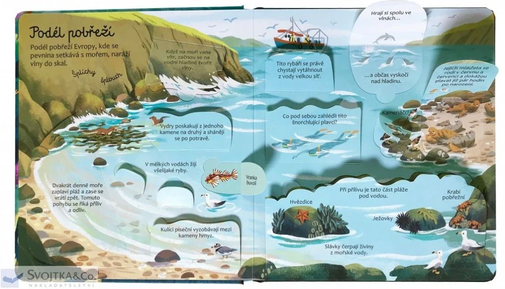 Podívej se pod obrázek - Moře a oceány 