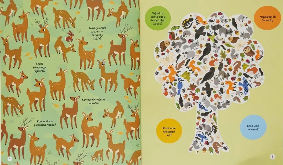 Hledej a najdi - V lese 