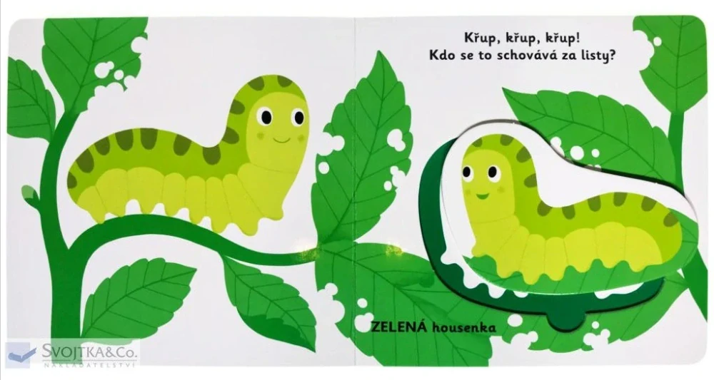 Objevujeme svět! Moje krásné barvy