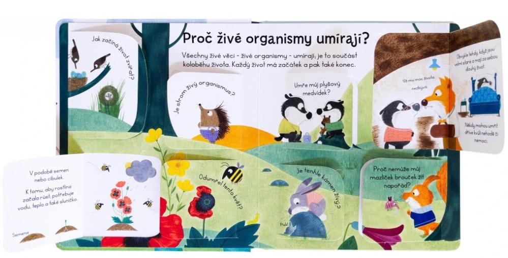 Kuk pod okénko - Co je to umírání?