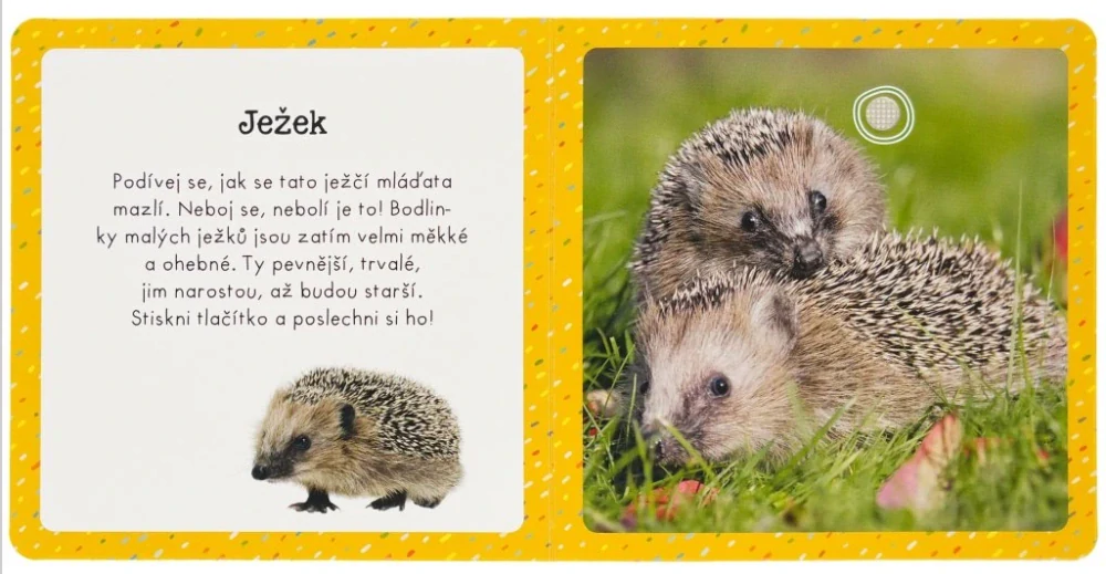 Zvuky pro nejmenší - Drobná zvířata