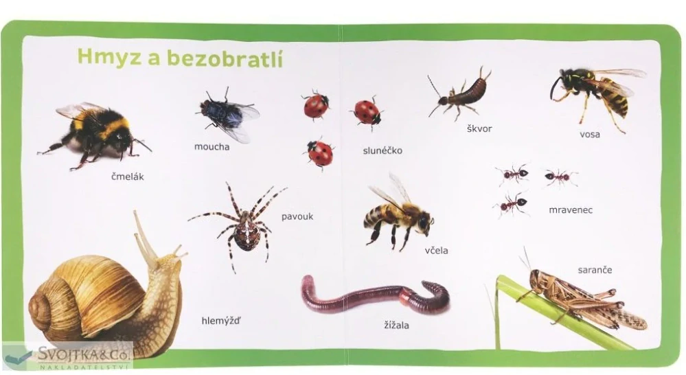 Mých prvních 100 zvířat