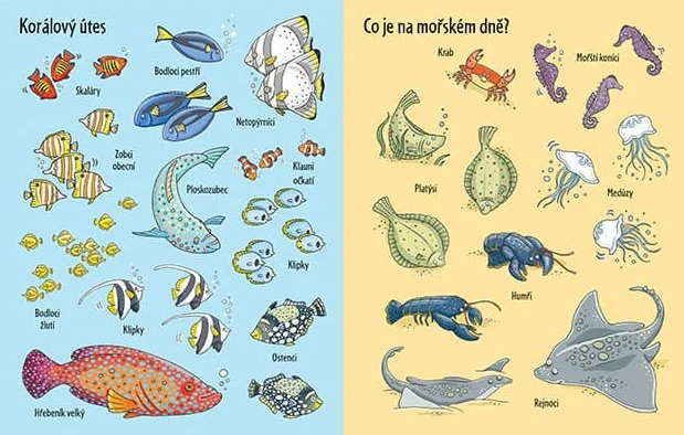 Samolepková knížka - Pod hladinou