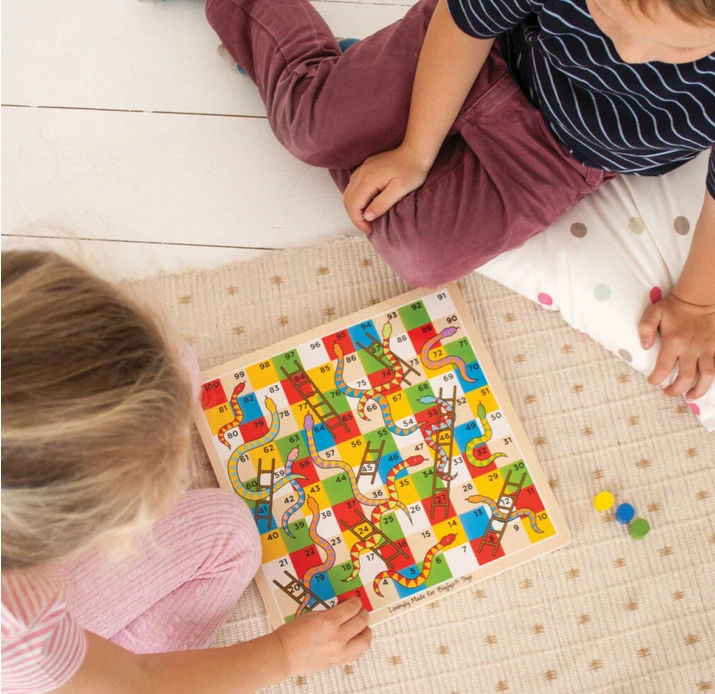 BIGJIGS TOYS Hadi a žebříky