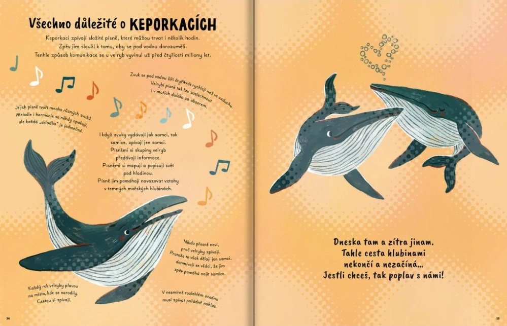 Pětiminutové příběhy z oceánu