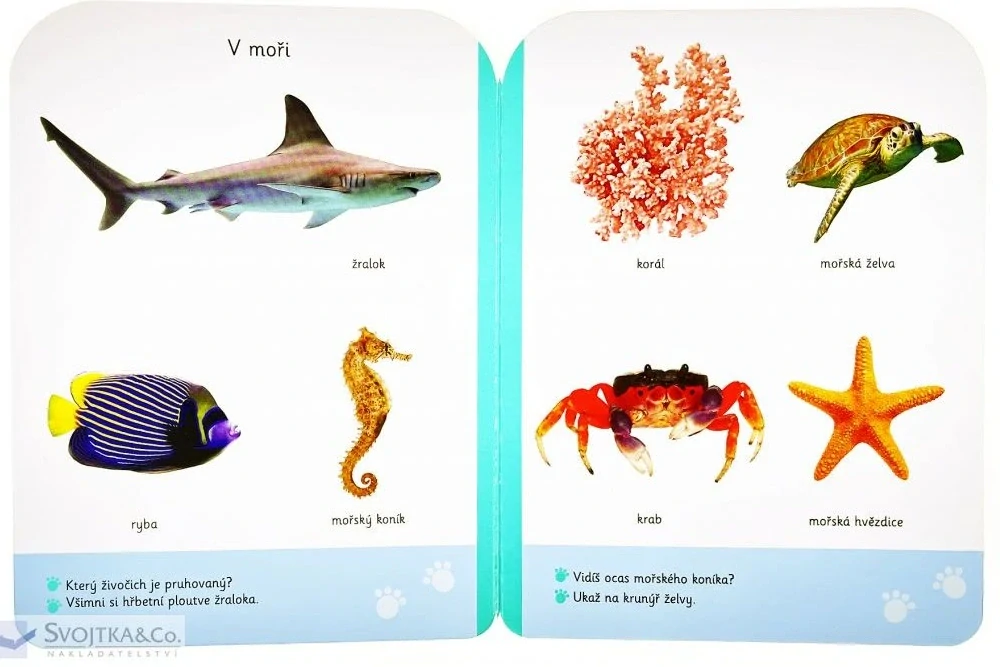 Malé kroky - Zvířata 18+ měsíců