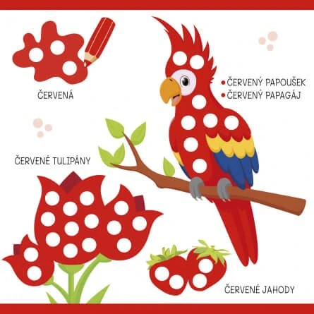 Šikovné prstíky - První znalosti