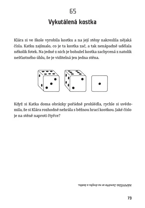 100 mozkocvičných hádanek