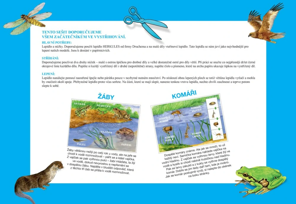 Začínáme vystřihovat - U vody