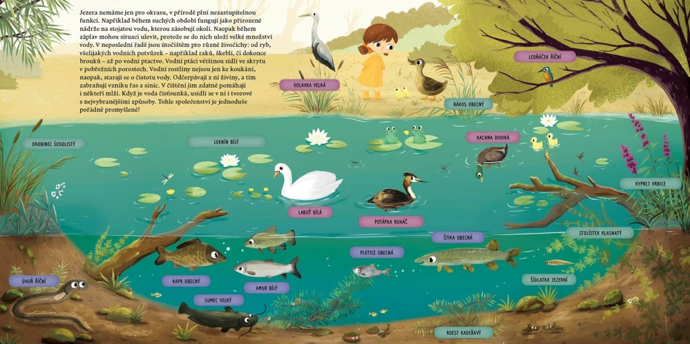 Vezmi mě domů. Do jaké vody patřím?