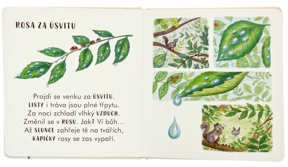 Zpomal... na tvém prahu 