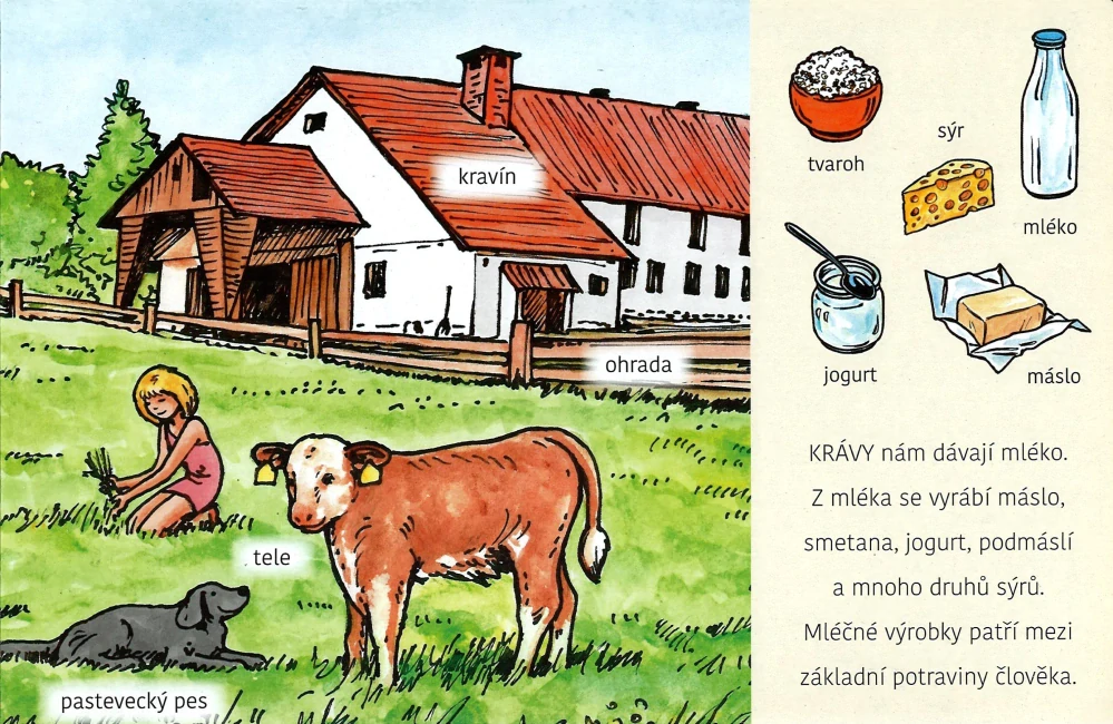 Čím jsou užitečná - Zvířátka na farmě
