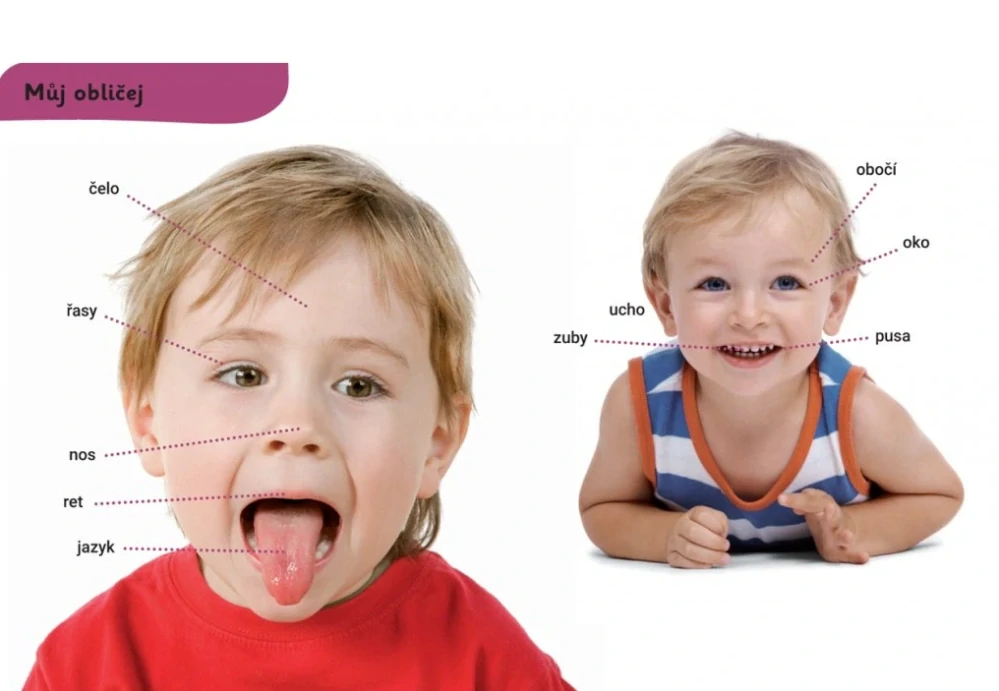 Už to znáš? Tvoje tělo 