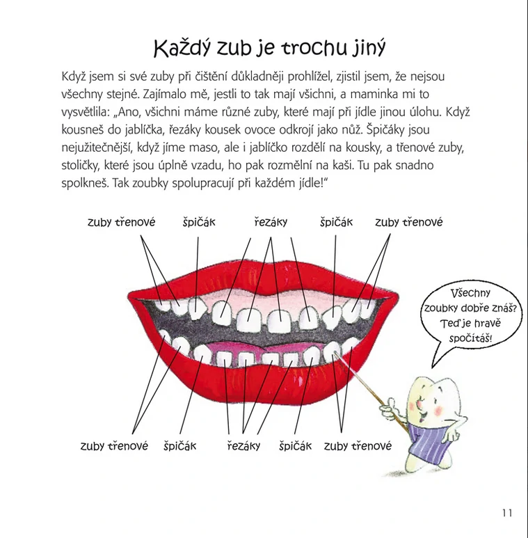 Moje zoubky