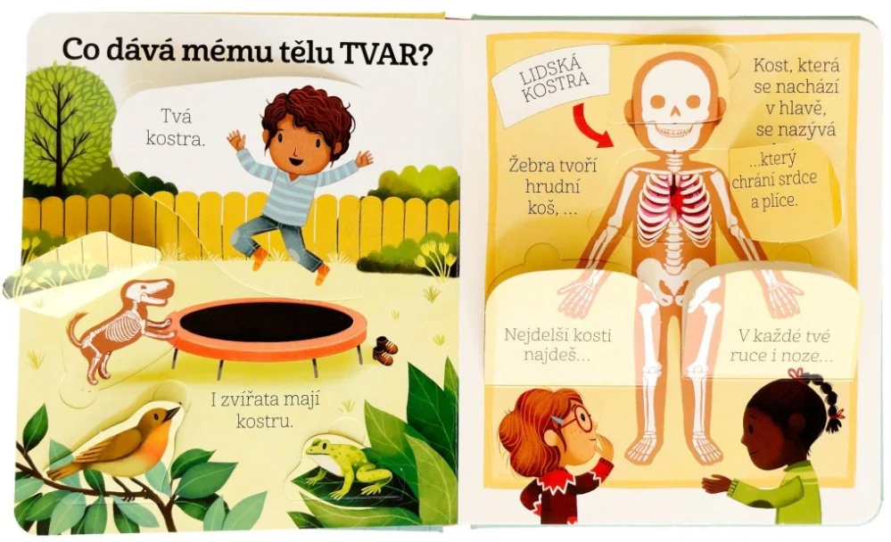 Kuk pod okénko - Co se děje v mém těle? 