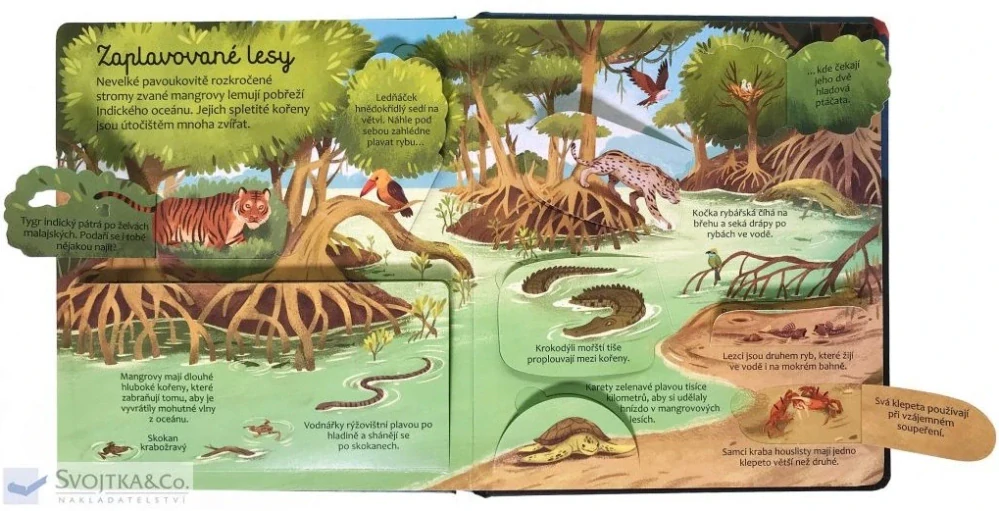  Podívej se pod obrázek - Moře a oceány 
