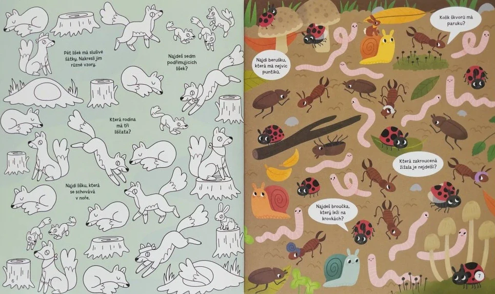 Hledej a najdi - V lese 