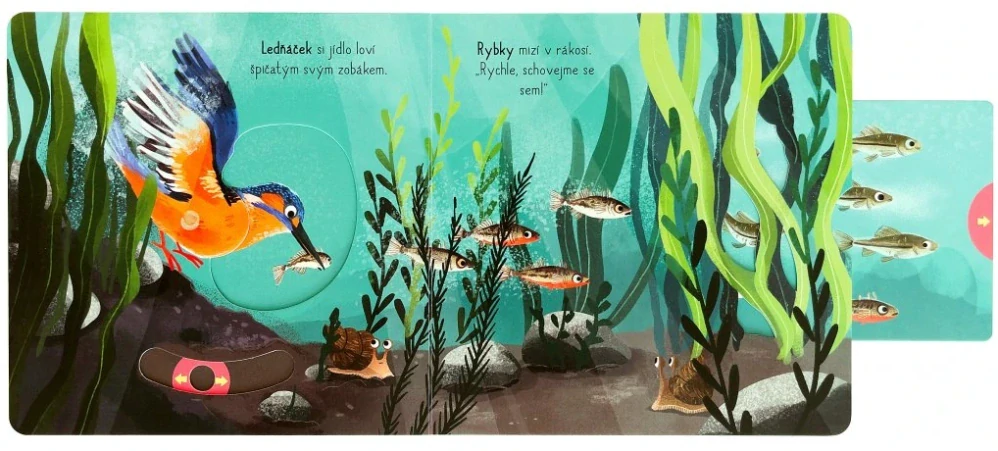 Velké objevy - U řeky