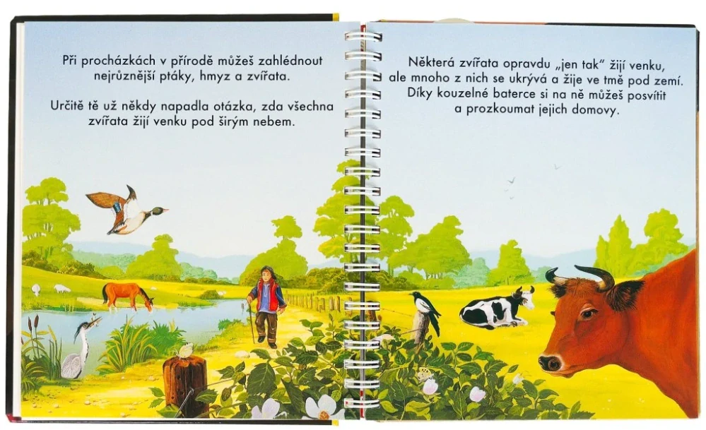 Kniha s kouzelnou baterkou - Zvířata v podzemí