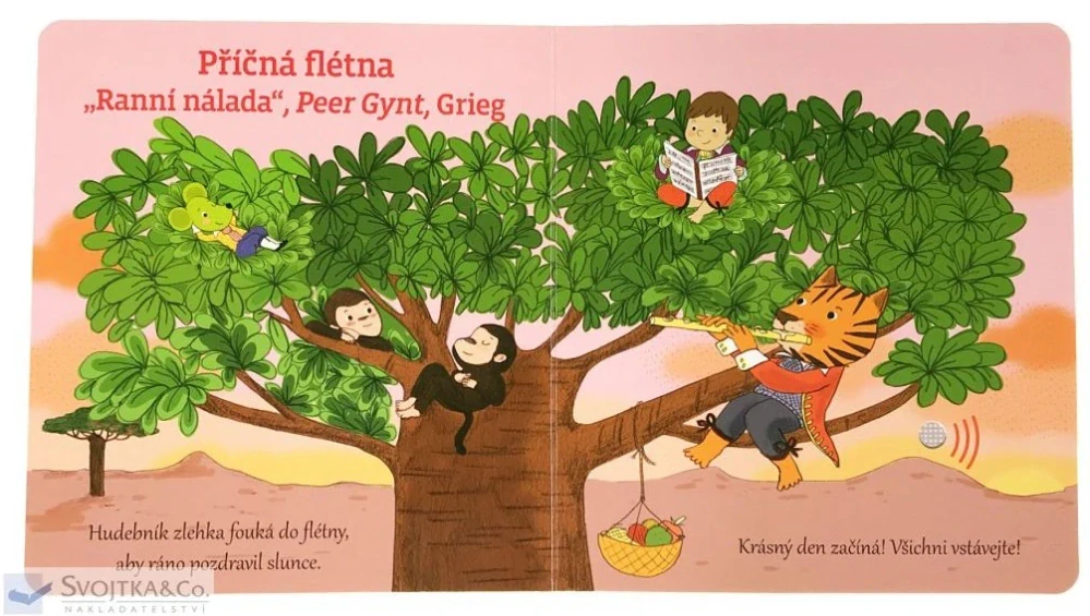 Moje klasické hudební nástroje