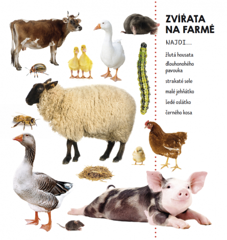 Hledej v obrázcích - Zvířata