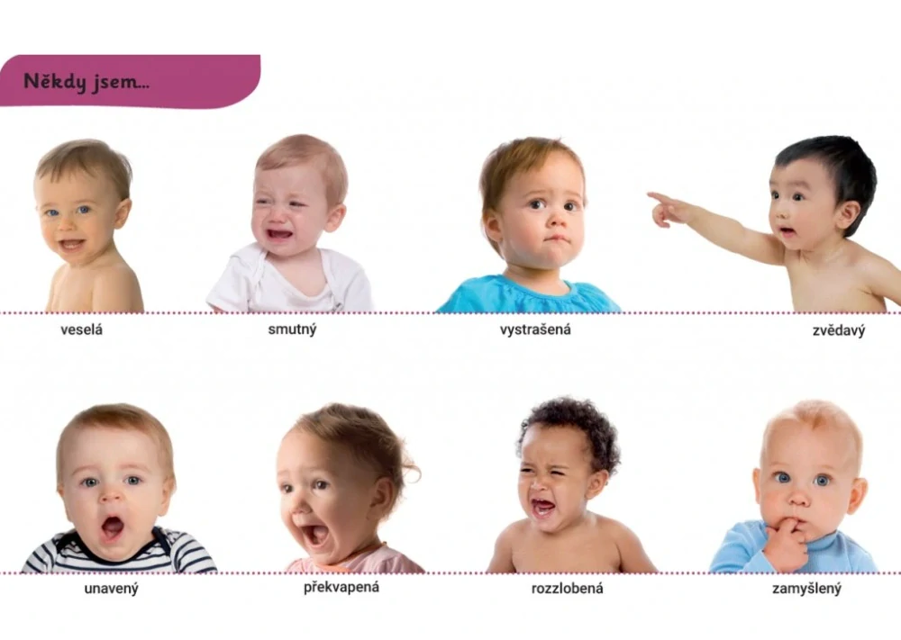 Už to znáš? Tvoje tělo 