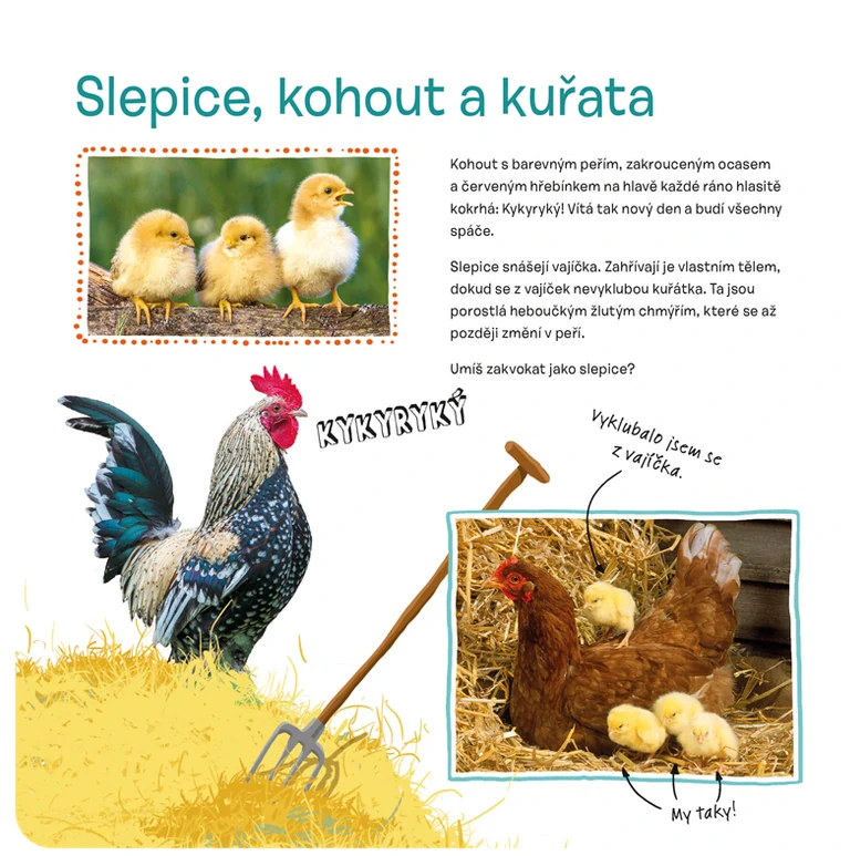 Osahej si kabátek oblíbených zvířátek - Na statku