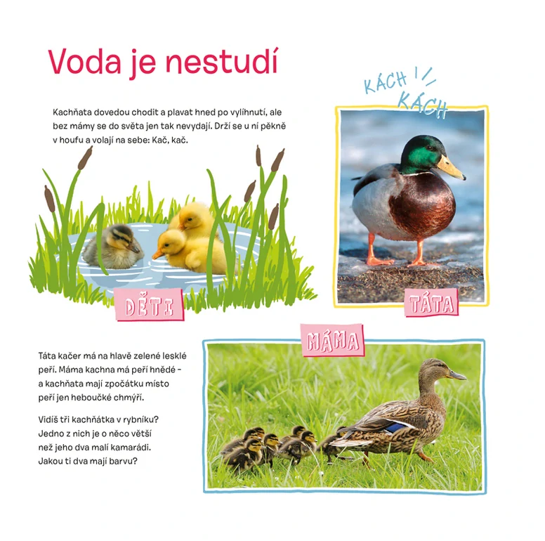 Osahej si kabátek oblíbených zvířátek - Mláďátka