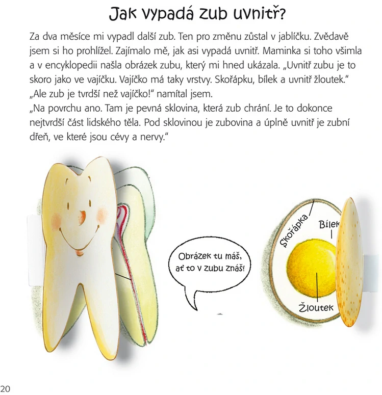 Moje zoubky