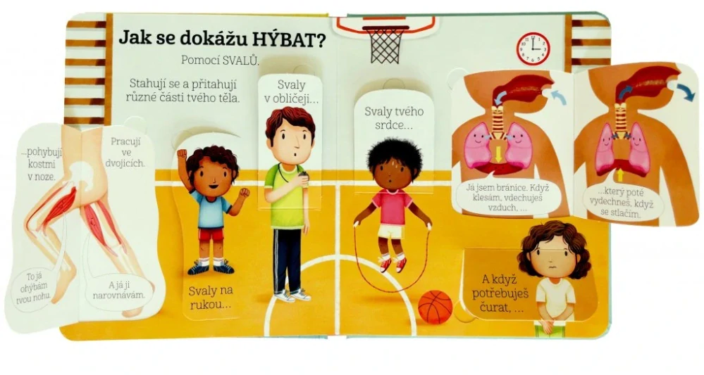 Kuk pod okénko - Co se děje v mém těle? 