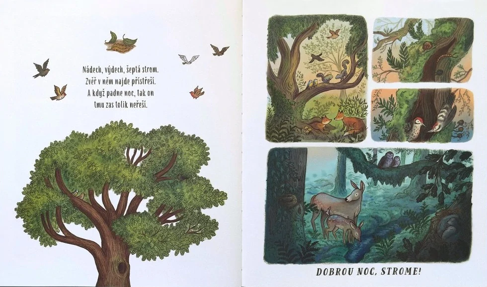  Zpomal a ... dobrou noc