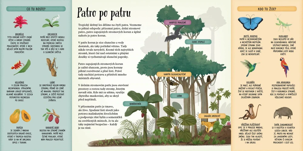 Vezmi mě domů. Do jakého lesa patřím?