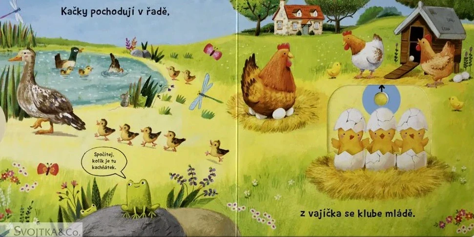 Jak to žije - Safari